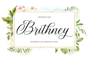 Brithney Font: A Friendly Script for Creative Projects