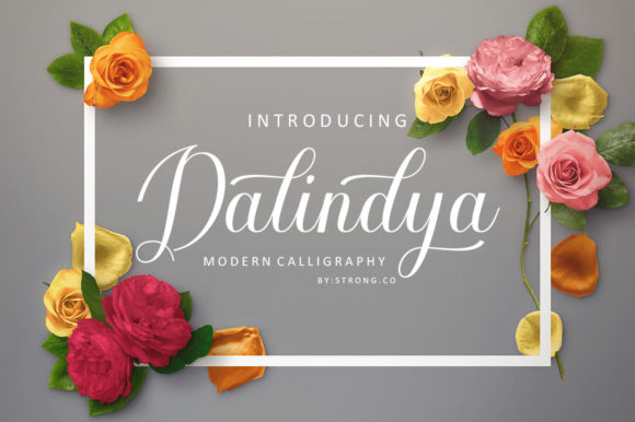 Dalinya Font Review