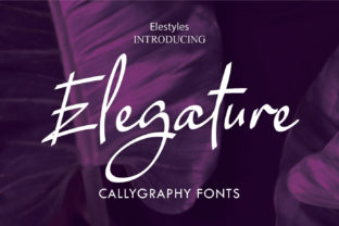 Elegature: A Script Font for Authentic Campaigns