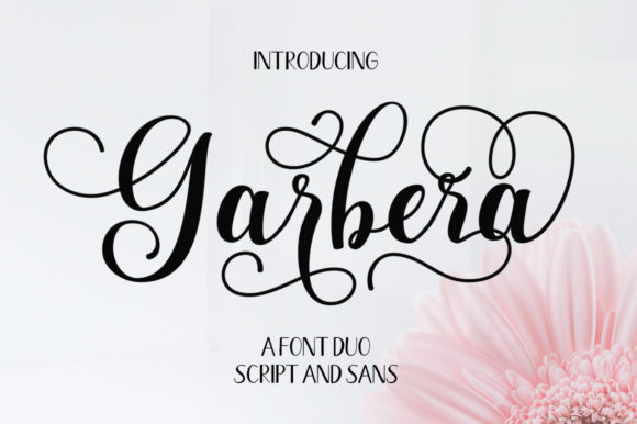 Garbera Duo Font for Creative Projects