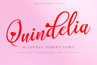 Quindelia Font for Creative Campaigns